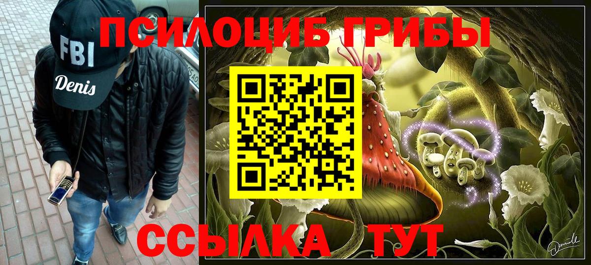 Псилоцибиновые грибы прущие грибы Знаменск