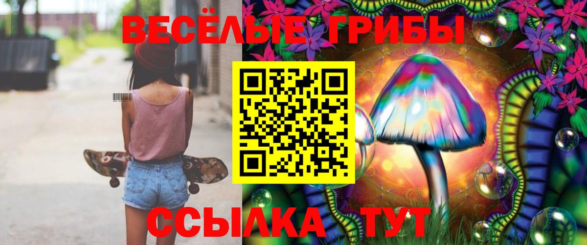 Знаменск  Галлюциногенные грибы ЛСД  Галлюциногенные грибы прущие грибы  Вход с VPN 